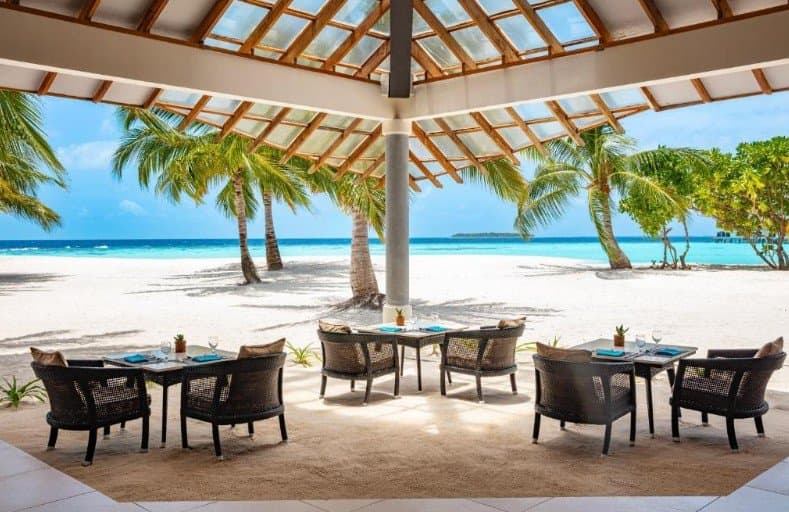 Seb’s Shack