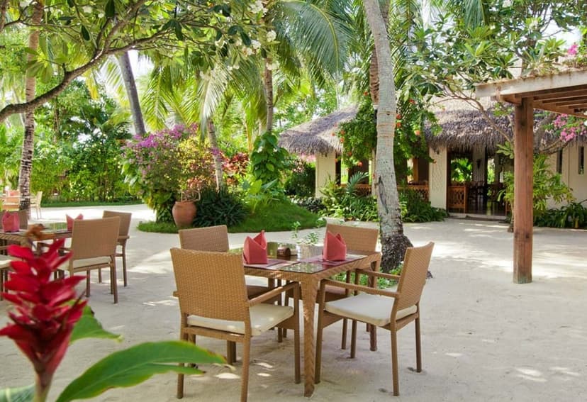 Island Coffee Shop