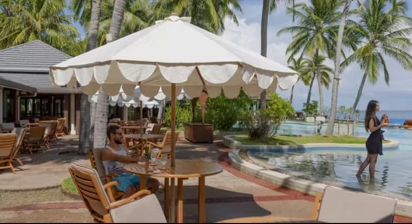 Palm terrace