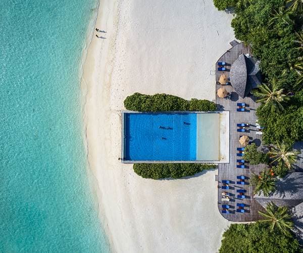 Dhoni Bar