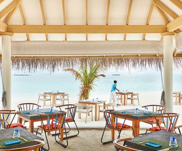 Grouper grill