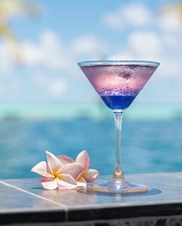 Splash Bar