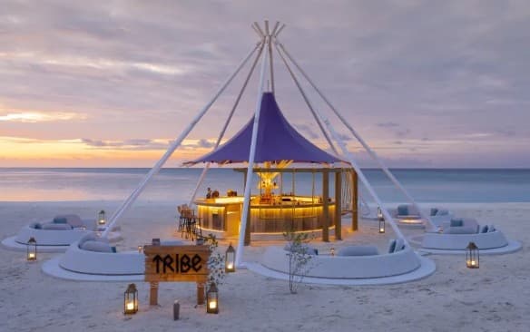 Tribe
