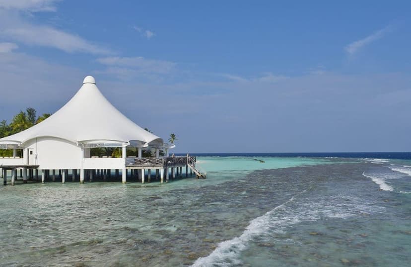 Palm bar