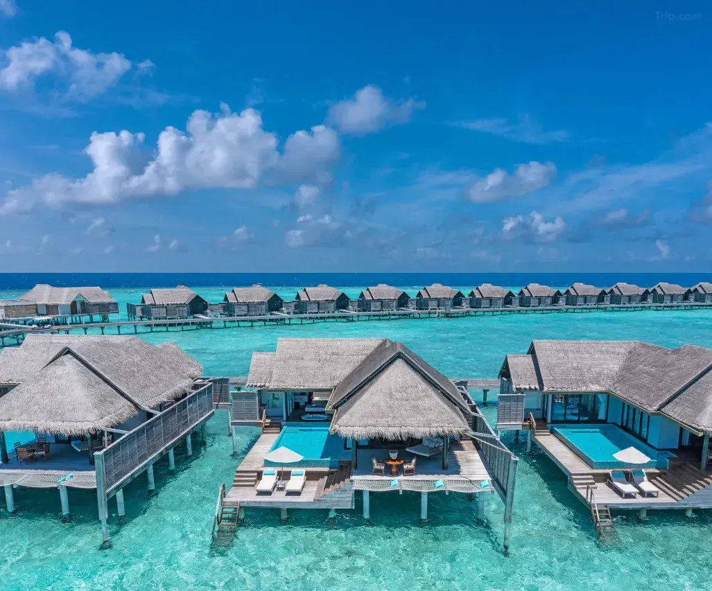 Anantara Kihavah Maldives: An Honest Review Based on 600+ Real Guest Experiences