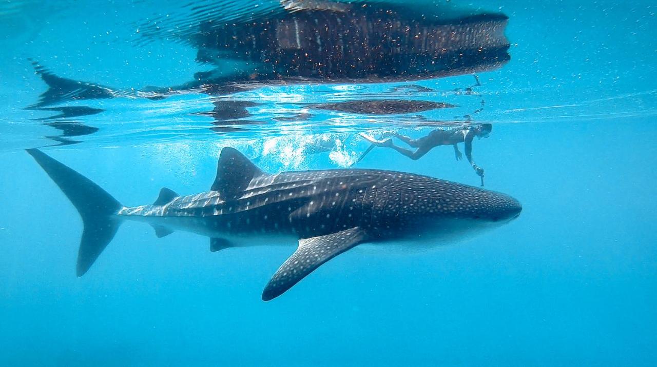 Romantic Dhigurah