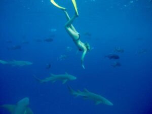 Best of Fulidhoo-nav-9