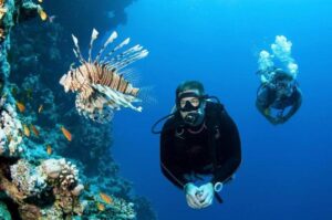 Diving in Fulidhoo-nav-5