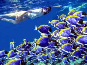 Romantic Fulidhoo-nav-13