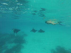 Best of Ukulhas-nav-18