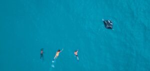 Rasdhoo & Ukulhas Adventure Escape-nav-6