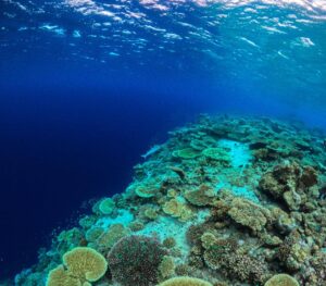 Together in Thinadhoo-nav-8