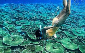 Romantic Fulidhoo-nav-19
